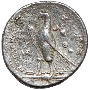 Grecja, Egipt ptolemejski, Ptolemeusz II (253/52 p.n.e.) Tetradrachma