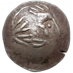 Celtowie wschodni - Stater/Didrachma (II-I w. p.n.e.)