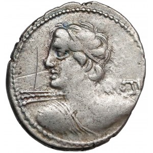 Republika, C. Licinius L.f Macer (84 p.n.e.) Denar