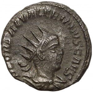 Saloninus (258-260 n.e.) Antoninian