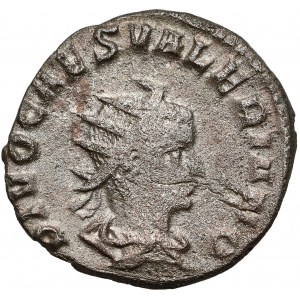 Walerian II (256-258 n.e.) Antoninian