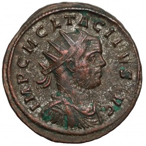 Tacyt (275-276 n.e.) Antoninian