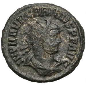 Karinus (283-285 n.e.) Antoninian, Kyzikos