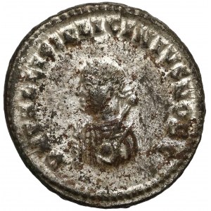 Licyniusz II (317-324 n.e.) Follis, Kyzikos
