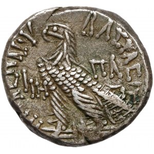 Grecja, Egipt ptolemejski, Ptolemeusz XII (64-63 p.n.e.) Tetradrachma