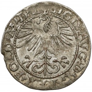 Zygmunt II August, Półgrosz Wilno 1564 - Orzeł w KORONIE - rzadkość