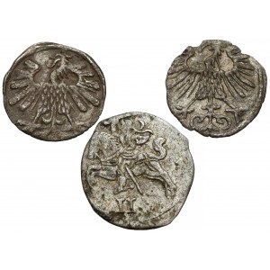 Zygmunt II August, Dwudenar 1566, Denary 1556 i 1559, zestaw (3szt)