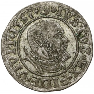 Prusy, Albrecht Hohenzollern, Grosz Królewiec 1537