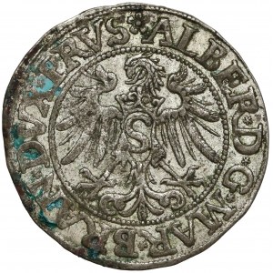 Prusy, Albrecht Hohenzollern, Grosz Królewiec 1534