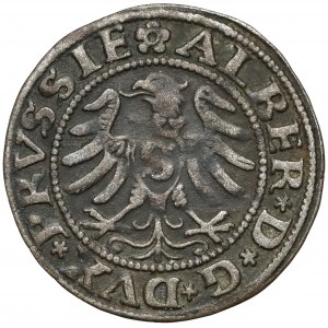 Prusy, Albrecht Hohenzollern, Szeląg Królewiec 1530