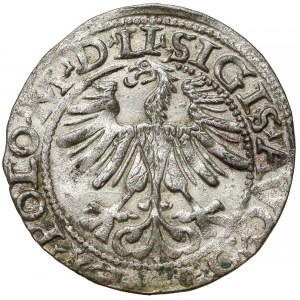 Zygmunt II August, Półgrosz Wilno 1565 - z Toporem - 156/55
