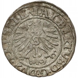 Prusy, Albrecht Hohenzollern, Szeląg Królewiec 1559
