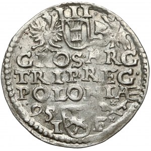 Zygmunt III Waza, Trojak Poznań 1595