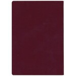 PWPW Paszport studyjny 2008 - Fryderyk Chopin