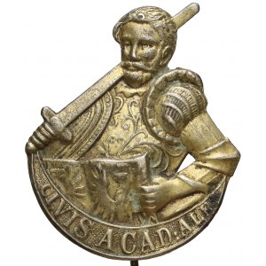 Odznaka Albertiny - wersja dla uczniów