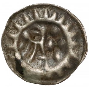 Brandenburgia, Fryderyk II (1440-1470) Hohlpfennig