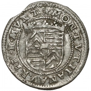 Hanau-Münzenberg, Philipp Moritz (1612-1638), 3 Kreuzer 1613