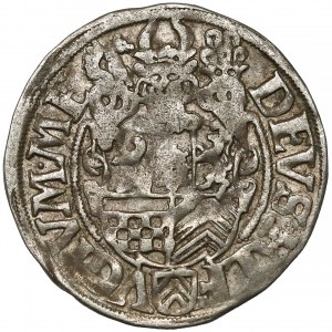 Ravensberg, Johann Wilhelm von Jülich-Kleve-Berg, 1/24 Taler 1605