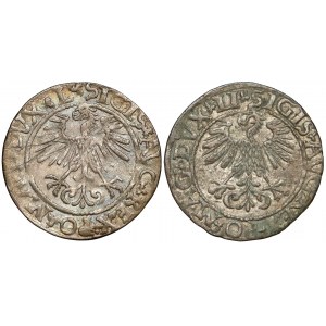 Zygmunt II August, Półgrosze Wilno 1561, zestaw (2szt)