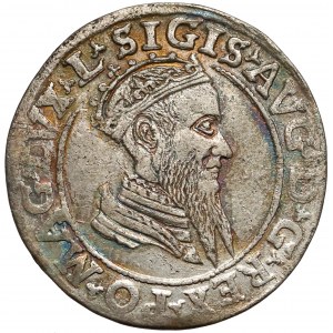 Zygmunt II August, Czworak Wilno 1569 - L/LITV - rzadki