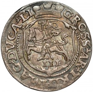 Zygmunt II August, Trojak Wilno 1564