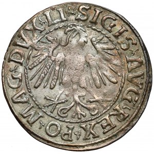 Zygmunt II August, Półgrosz Wilno 1547 - jak AAG