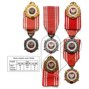 Medal Siły Zbrojne w Służbie Ojczyzny (7szt)