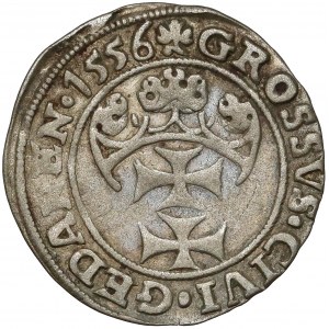 Zygmunt II August, Grosz Gdańsk 1556 - rzadki