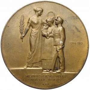 Austro-Węgry, Medal 1915, Franciszek I Józef - Carolus Stephanus