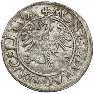 Zygmunt II August, Półgrosz Wilno 1545 - bardzo rzadki