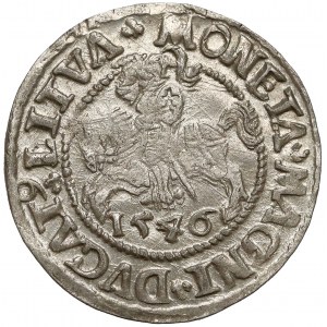 Zygmunt II August, Półgrosz Wilno 1546 - typ 5 - LITVA