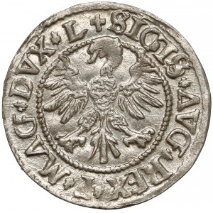 Zygmunt II August, Półgrosz Wilno 1546 - typ 5 - LITVA