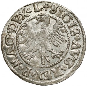 Zygmunt II August, Półgrosz Wilno 1546 - typ 5 - LITV - PIĘKNY