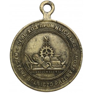 Medal Wystawa Rolniczo - Przemysłowa, Warszawa 1885