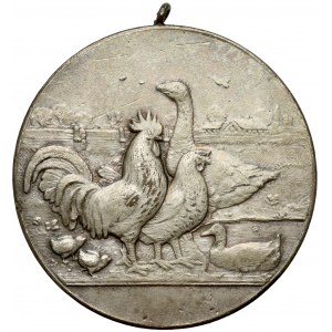 Medal I Nagroda na polu chodowli drobiu