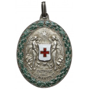 Austria, Czerwony Krzyż, Medal za zasługi, Srebro