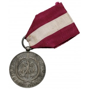 Medal za Długoletnią Służbę - Srebrny (XX)