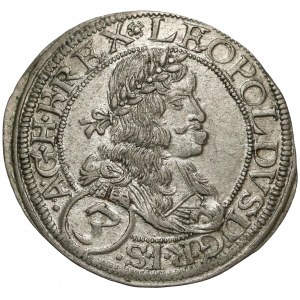 Österreich, Leopold I., 3 Kreuzer 1665, Wien