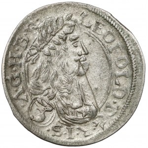 Austria, Leopold I, 3 krajcary 1665, Neuburg am Inn