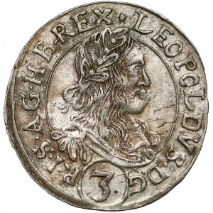 Austria, Leopold I, 3 krajcary 1665, Neuburg am Inn