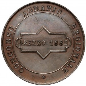 Włochy, Florencja, Medal 1882 - Concorso Agrario Regionale