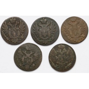 1 grosz 1817-1837 IB, KG, MW w tym ...z MIEDZI KRAIOWEY (5szt)