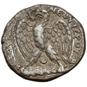 Antiochia, Wespazjan (69-79 n.e.) Tetradrachma