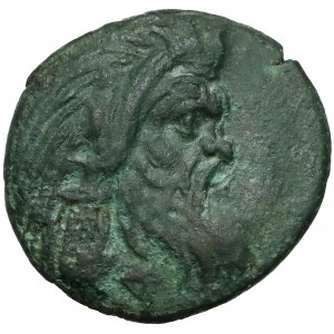 Grecja, Tracja / Chersonez, Pantikapajon (345-310 p.n.e.) Brąz