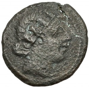 Republika, Semiuncia anonimowa (217-215 n.e.)
