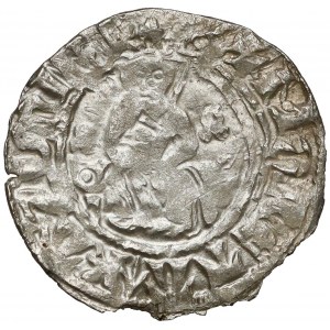 Kazimierz III Wielki, Półgrosz Kraków (bez daty) - mała głowa