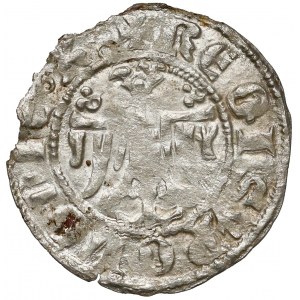 Kazimierz III Wielki, Półgrosz Kraków (bez daty) - mała głowa