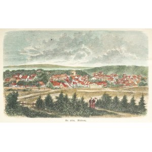 MIĘDZYZDROJE. Widok miasta, anonim, niemiecka grafika z XIX wieku; drzew. szt