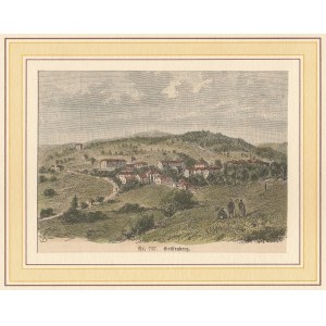 JESIONIK (JESENÍK). Widok uzdrowiska Lázně Jeseník; grafika z XIX wieku; drzew