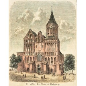KRÓLEWIEC (KALININGRAD). Katedra; anonim, niemiecka grafika z XIX wieku; drzew